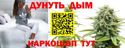 гашик Аша