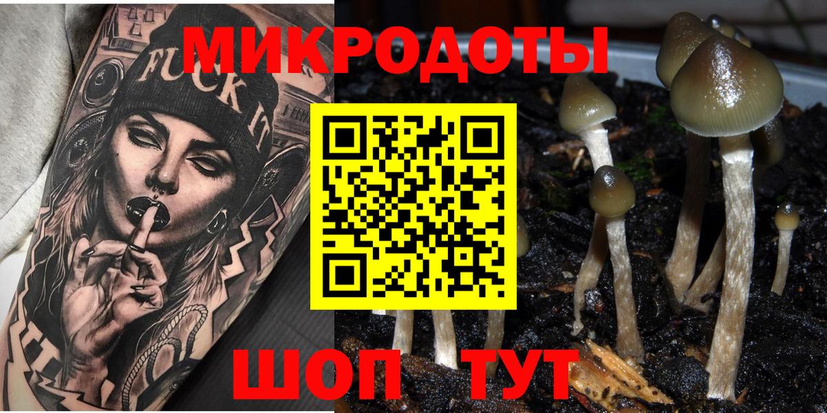 Сарапул  Галлюциногенные грибы мицелий  хочу   Вход с VPN  Псилоцибиновые грибы Psilocybe 